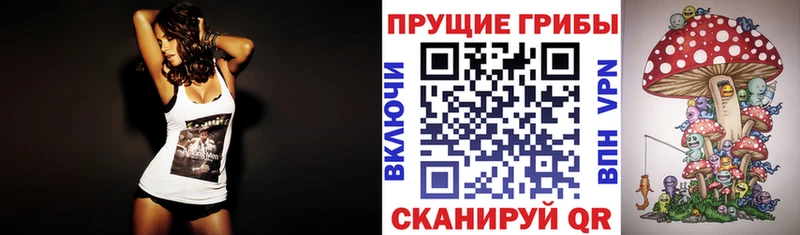 Псилоцибиновые грибы Psilocybe  Купить закладки  Высоцк 